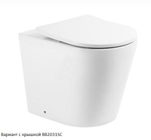Унитаз приставной BelBagno Flay-r BB1003CBR+BB2031SC с микролифтом