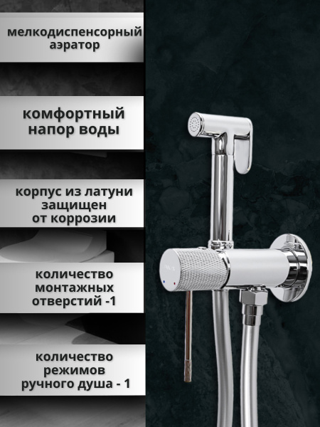 Гигиенический душ со смесителем AVS Seeme хром