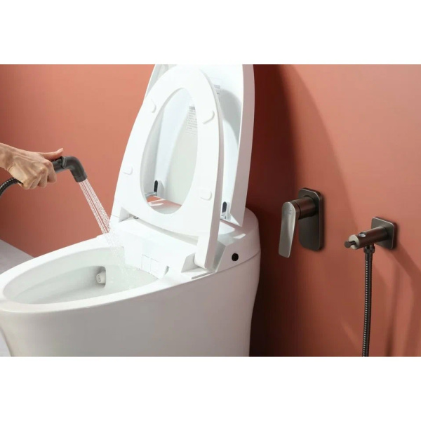 Гигиенический душ со смесителем Lemark Bronx LM3719BL С ВНУТРЕННЕЙ ЧАСТЬЮ, черный матовый Гигиенический душ со смесителем Lemark Bronx LM3719BL С ВНУТРЕННЕЙ ЧАСТЬЮ, черный матовый