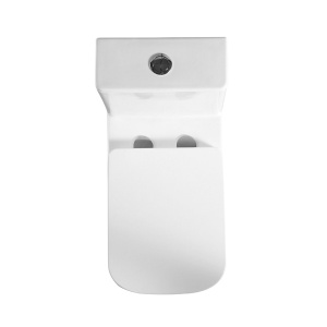 Унитаз-моноблок BelBagno Neon BB8617CPR-MN/SC безободковый с микролифтом