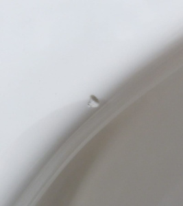 Унитаз подвесной Belbagno Amanda BB051CHR+BB051SC безободковый с микролифтом (УЦЕНКА)