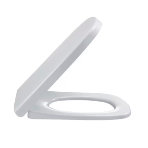 Унитаз подвесной Jacob Delafon Struktura EDE102-00+E70024-00 безободковый с микролифтом