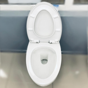 Комплект Jacob Delafon 3в1: Инсталляция для унитаза Jacob Delafon E21822-CP + Унитаз подвесной AVS 801-0043-P-R-GW + Клавиша смыва хром